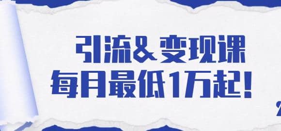 引流变现课：分享一整套流量方法以及各个渠道收入，每月zui低1万起！插图