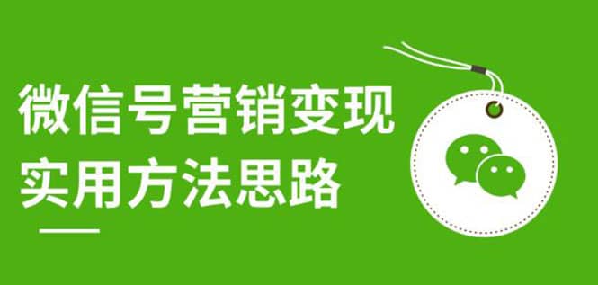 （1211期）微信号营销变现实用方法思路，朋友圈刷屏裂变（共12节）价值199元-无水印插图1