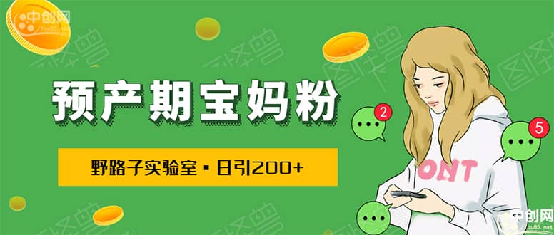 （1725期）日引200+预产期宝妈，从预产期到K12教育持续转化…操作方法简单插图