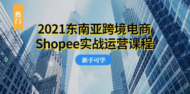 （1951期）2021东南亚跨境电商Shopee实战运营课程，0基础、0经验、0投资的副业项目插图