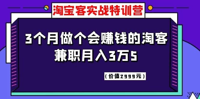 （1119期）淘宝客实战特训营，三个月做个会赚钱的淘客，兼职月入3万5（价值2999元）插图1