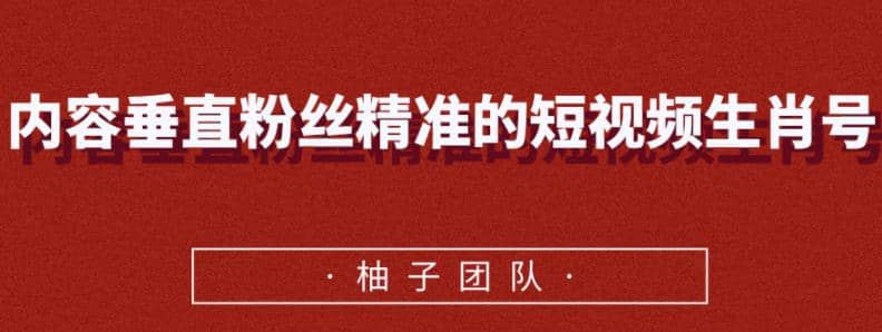 内容垂直粉丝精准的短视频生肖号，小众领域简单操作月入10000+【视频课程】插图