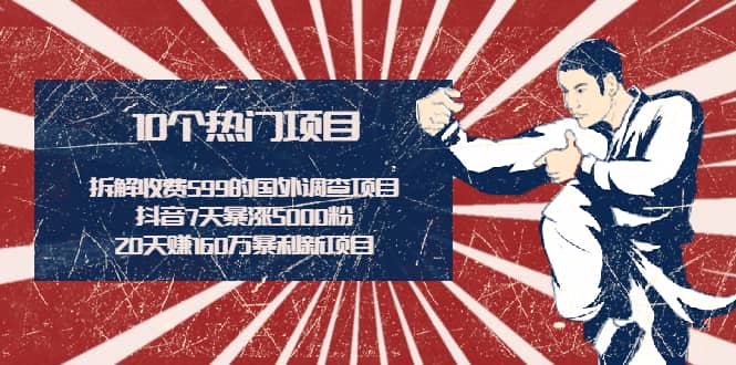 （1938期）拆解收费599的国外调查项目+抖音7天暴涨5000粉+20天赚160万暴利新项目插图