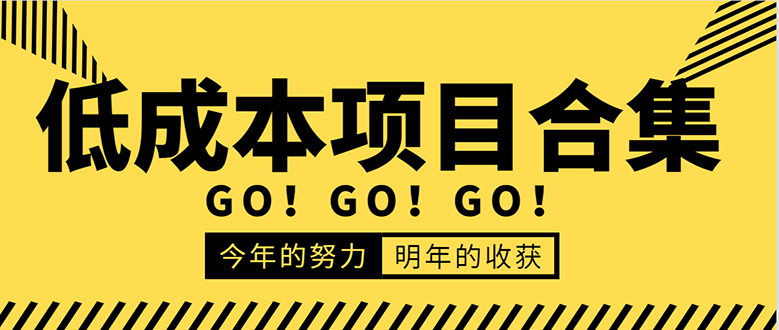 （1607期）低成本零成本项目合集：赚钱快的慢的、暴利的，线上线下的，价值万元资料插图