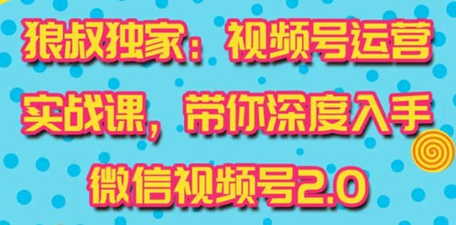 狼叔视频号运营实战课2.0，目前市面上zui新zui全玩法，快速吸粉吸金（10节视频）插图