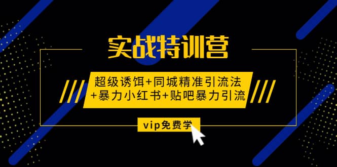 （1314期）实战特训营:超级诱饵+同城精准引流法+暴力小红书+贴吧暴力引流（视频课程）插图