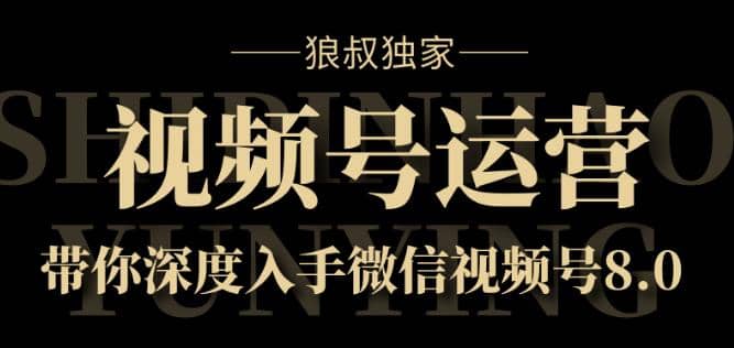 狼叔独家：视频号运营实战课8.0，带你深度入手微信视频号插图