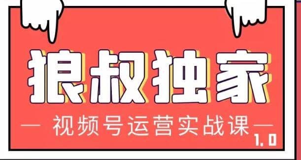 狼叔视频号运营实战课，带你深度入手微信视频号1.0，从0粉丝开始快速涨粉变现插图