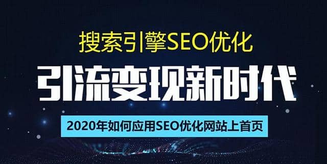 SEO搜索引擎优化总监实战VIP课堂【透析2020zui新案例】快速实现年新30w(第9期)插图