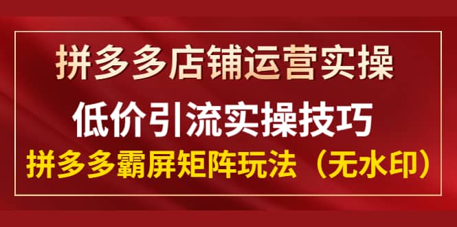 （1342期）拼多多店铺运营实操，低价引流实操技巧，拼多多霸屏矩阵玩法（无水印）插图