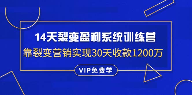 （1317期）14天裂变盈利系统训练营：靠裂变营销实现30天收款1200万（无水印）插图