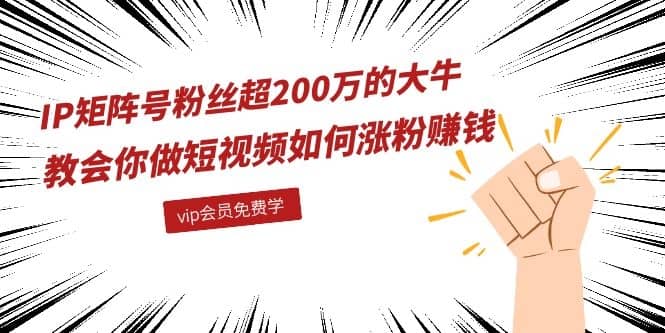 （1089期）IP矩阵号粉丝超200万的大牛：教会你做短视频如何涨粉赚钱（全套课程）插图1