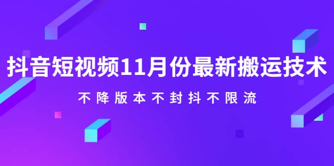 （2141期）抖音短视频11月份zui新搬运技术，不降版本不封抖不限流！【视频课程】插图