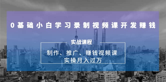 （1683期）0基础小白学习录制视频课开发赚钱：制作、推广、赚钱视频课 实操月入过万插图