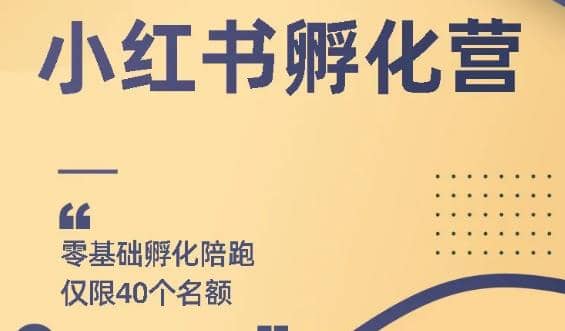 （1763期）勇哥小红书撸金快速起量项目：教你如何快速起号获得曝光，做到月躺赚3000+插图