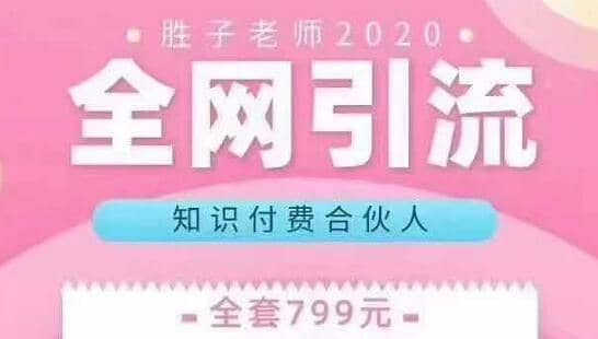 胜子老师全网引流知识付费合伙人,多种引流渠道【视频课程】插图