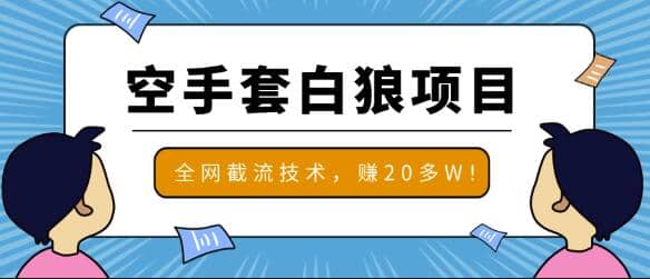 2020zui新空手套白狼项目，全网批量截流技术，一个月实战成功赚20多W+插图