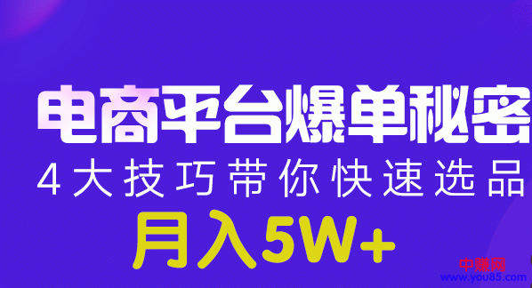 （950期）电商平台爆单 月入5W+的秘密：4大技巧带你快速选品(8节视频课)插图1