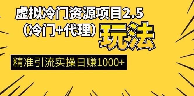 （1185期）虚拟冷门资源项目2.5（冷门&代理玩法） 精准引流实操日赚1000+(更新中)插图