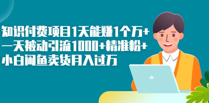 （2251期）知识付费项目1天能赚1个万+一天被动引流1000+精准粉+小白闲鱼卖货月入过万插图