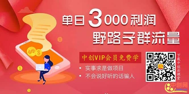 （1021期）野路子群流量项目：稳定之后可实现日盈利3000-5000，轻松实现月入3万+插图1