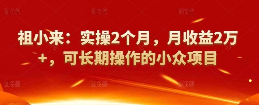 祖小来：实操2个月，月收益2万+，可长期操作的小众项目插图