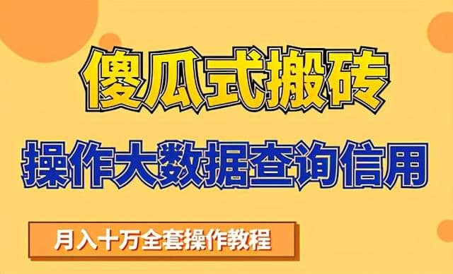 搬砖操作大数据查询信用项目赚钱教程，祝你快速月入6万插图