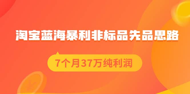 （2054期）淘宝蓝海暴利非标品先品思路，7个月37万纯利润，压箱干货分享！插图