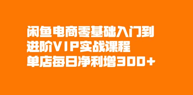 （2082期）闲鱼电商零基础入门到进阶VIP实战课程，单店每日净利增300+插图