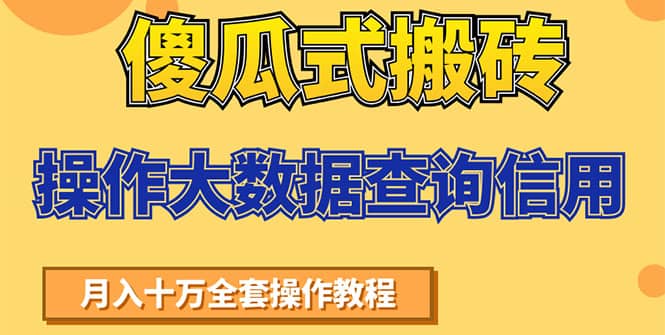 （1538期）傻瓜式搬砖操作大数据查询信用赚钱方法：助你快速月入6万全套操作教程插图