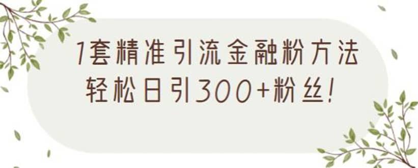 （2156期）1套精准引流金融粉方法，轻松日引300+粉丝【视频课程】插图