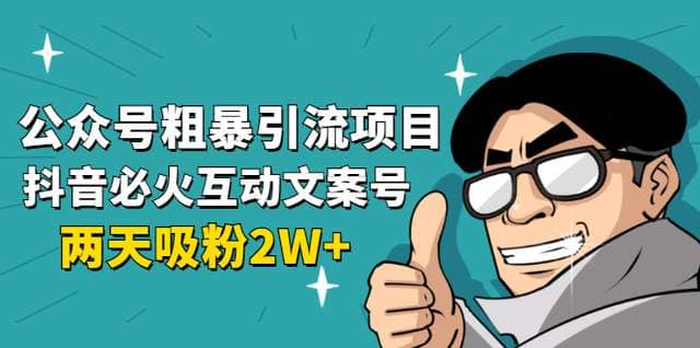 公众号粗暴引流项目：抖音必火互动文案号，两天吸粉2W+插图