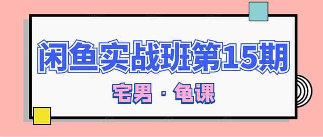 龟课·闲鱼无货源电商课程第15期，一个月收益几万不等【33节视频-无水印】插图