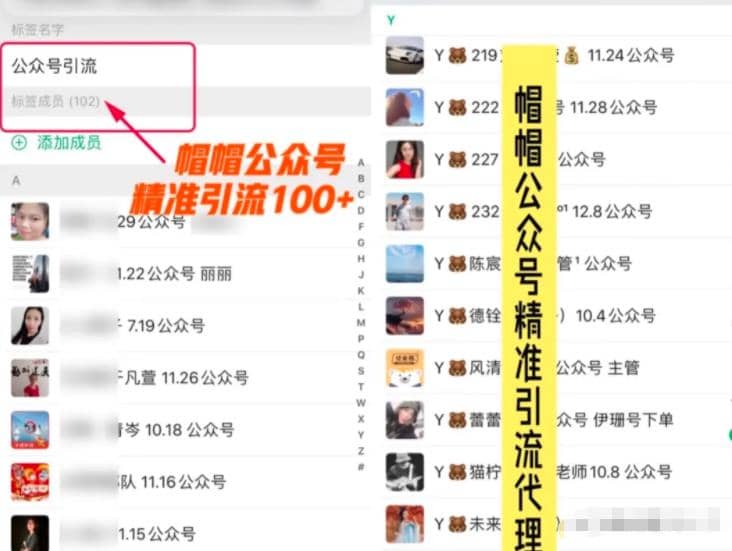 7天玩转微信公众号被动引流系统，日引100+精准流量【视频课程】插图