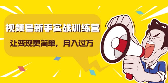 （1627期）视频号新手实战训练营，让变现更简单，玩赚视频号，轻松月入过万插图