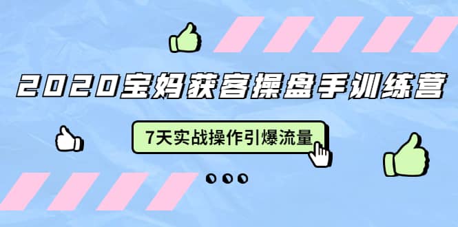 （1542期）2020宝妈获客操盘手训练营：7天实战操作引爆 母婴、都市、购物宝妈流量插图