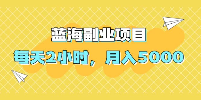 （1953期）蓝海副业项目，每天2小时，月入5000，附详细操作流程插图