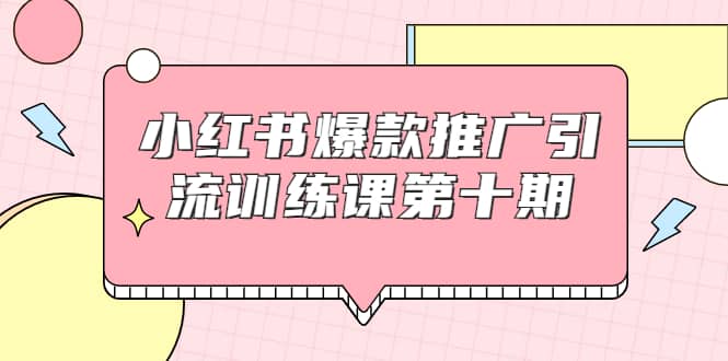 （1693期）小红书爆款推广引流训练课第十期，手把手带你玩转小红书，轻松月入过万插图