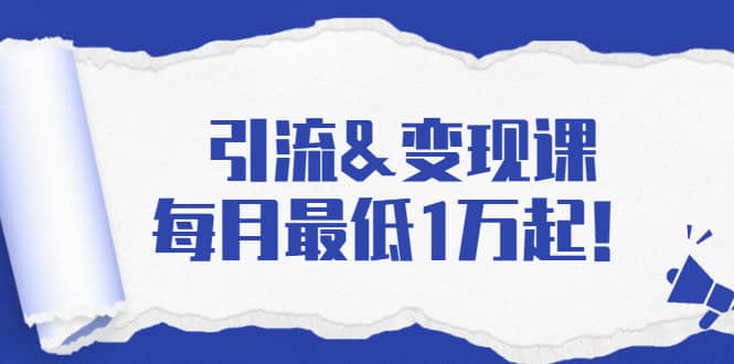 （1721期）引流&变现课：分享一整套流量方法以及各个渠道收入，每月zui低1万起！插图