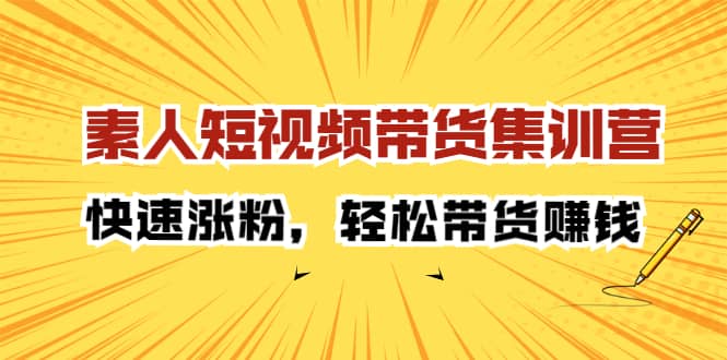 （2203期）素人短视频带货集训营：快速涨粉，轻松带货赚钱插图