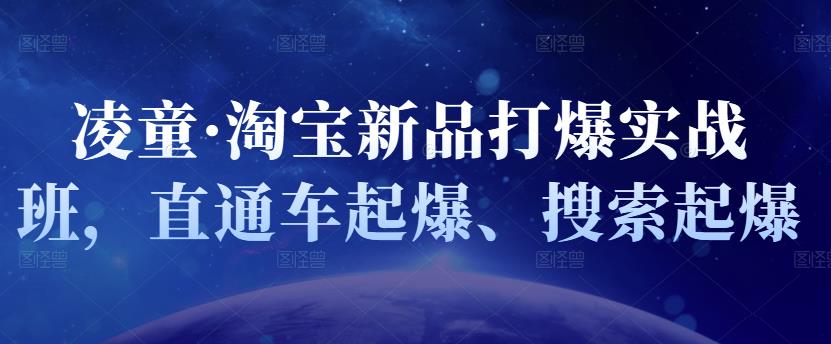 凌童·淘宝新品打爆实战班，直通车起爆、搜索起爆插图