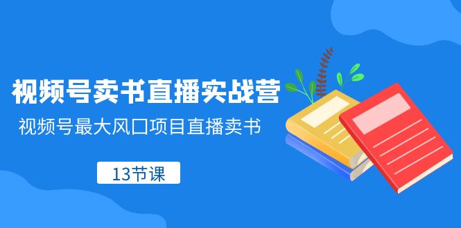 （8080期）视频号-卖书直播实战营，视频号zui大风囗项目直播卖书（13节课）插图