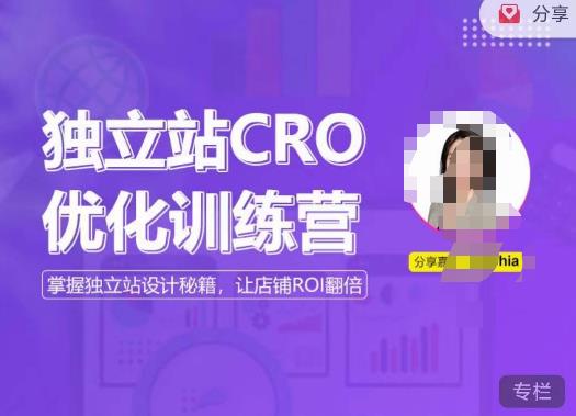 独立站CRO优化训练营，掌握独立站设计秘籍，打造高转化的独立站，让店铺ROI翻倍插图