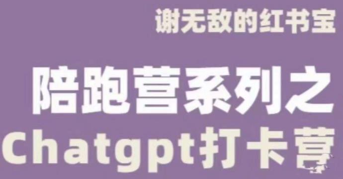 谢无敌ChatGPT打卡营，教你更好地使用ChatGPT来提高工作效率插图