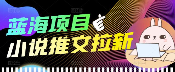 外面收费6880的小说推文拉新项目，个人工作室可批量做【详细教程】插图