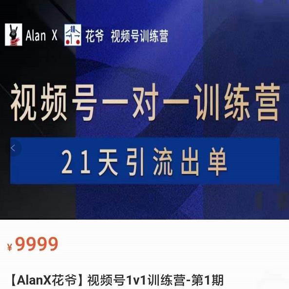 AlanX花爷·视频号引流出单训练营，视频号引流出单必杀技插图