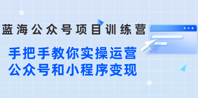 （2633期）蓝海公众号项目训练营，手把手教你实操运营公众号和小程序变现插图