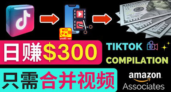 （3360期）搬运Tiktok短视频到Youtube赚钱，只需下载，合并视频，日赚500美元插图