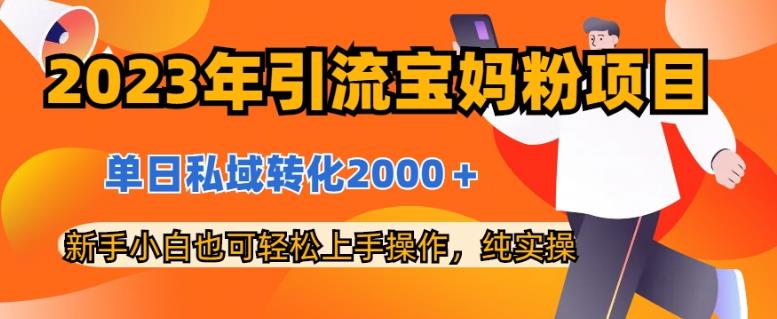 2023年引流宝妈粉项目，单日私域转化2000＋，新手小白也可轻松上手操作，纯实操插图