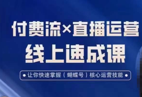 视频号付费流实操课程，付费流️直播运营速成课，让你快速掌握视频号核心运营技能插图